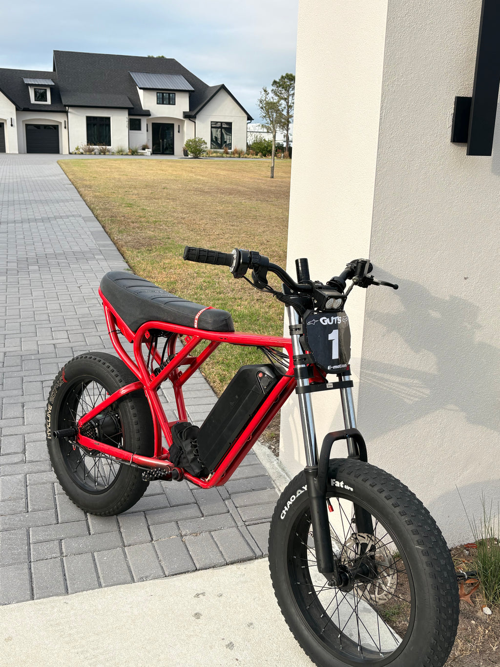 E-bike pegs